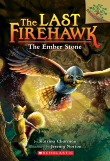 Image for The Ember Stone: A Branches Book (The Last Firehawk #1)