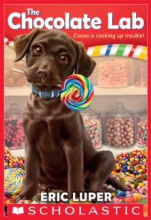 Image for The chocolate lab