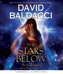 Image for The Stars Below (Vega Jane, Book 4)