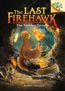 Image for The Secret Maze: A Branches Book (The Last Firehawk #10)