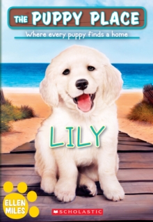 Image for Lily (The Puppy Place #61)