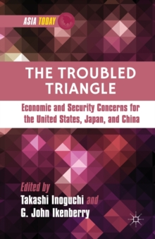 Image for The Troubled Triangle