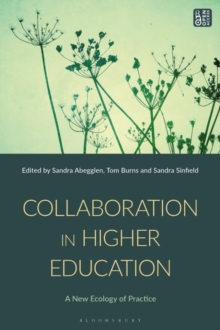 Image for Collaboration in Higher Education