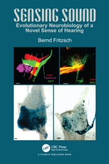 Image for Sensing Sound: Neurobiology of the Acquisition of a Novel Sense and Its Societal Impact