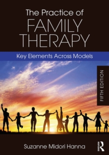 Image for The practice of family therapy: key elements across models
