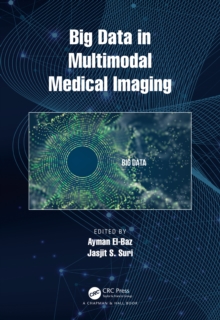 Image for Big Data in Multimodal Medical Imaging