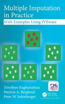 Image for Multiple imputation in practice: with examples using IVEware
