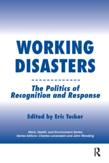 Image for Working disasters: the politics of recognition and response