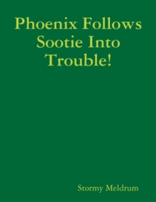 Image for Phoenix Follows Sootie Into Trouble!