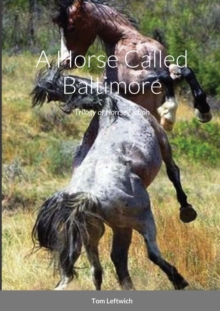 Image for A Horse Called Baltimore