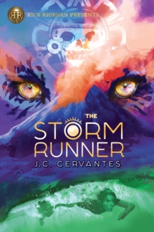 Image for The storm runner