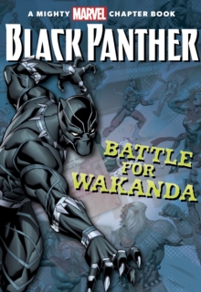 Image for The battle for wakanda