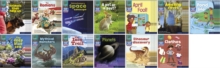 Read Write Inc. Phonics Book Bag Books: Set 7 Grey: Non-Fiction Pack of 130