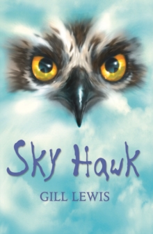 Image for Rollercoasters: Sky Hawk