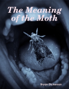 Image for Meaning of the Moth