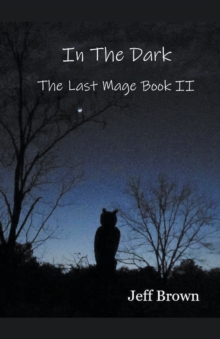 Image for In The Dark : The Last Mage Book II