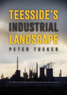 Image for Teesside's industrial landscape