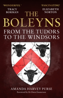 Image for The Boleyns  : from the Tudors to the Windsors