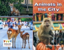 Image for Animals in the City