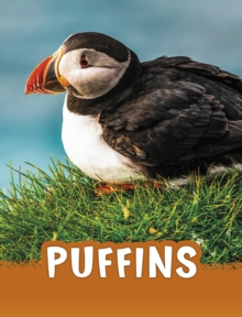 Image for Puffins