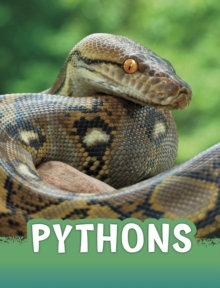 Image for Pythons