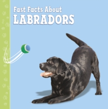 Image for Fast facts about labradors