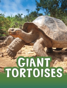 Image for Giant tortoises