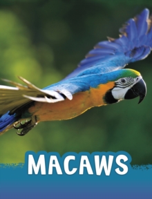 Image for Macaws