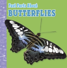 Image for Fast facts about butterflies