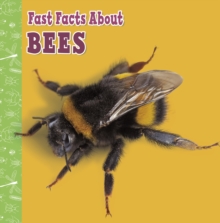 Image for Fast facts about bees