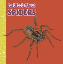 Image for Fast facts about spiders