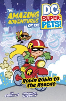 Image for Robin Robin to the rescue