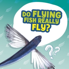 Image for Do flying fish really fly?