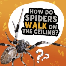 Image for How Do Spiders Walk on the Ceiling?