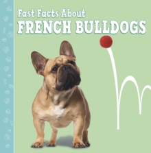 Image for Fast Facts About French Bulldogs