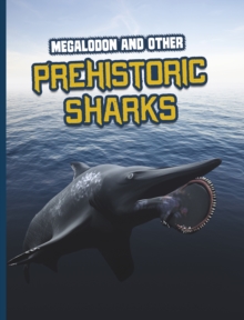Image for Megalodon and Other Prehistoric Sharks
