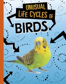 Image for Unusual Life Cycles of Birds