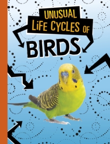 Image for Unusual life cycles of birds