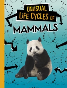 Image for Unusual life cycles of mammals