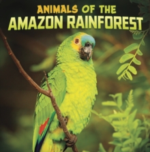 Animals of the Amazon rainforest - Schuh, Mari