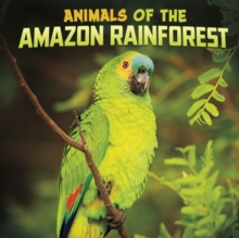 Image for Animals of the Amazon rainforest