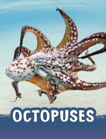 Octopuses - Jaycox, Jaclyn
