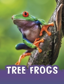 Image for Tree Frogs