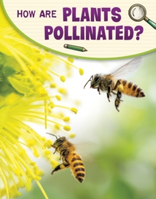 How Are Plants Pollinated?