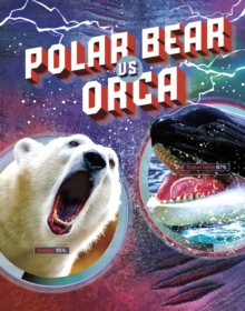 Image for Polar bear vs orca