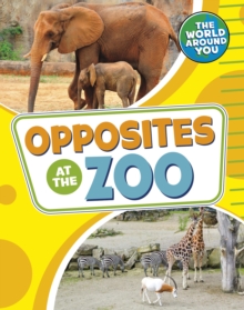 Image for Opposites at the zoo