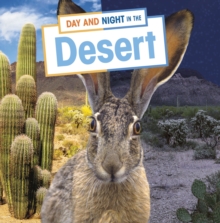 Day and night in the desert - Labrecque, Ellen