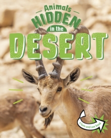 Animals Hidden in the Desert