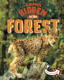 Image for Animals hidden in the forest
