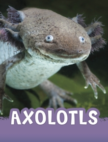 Axolotls - Jaycox, Jaclyn
